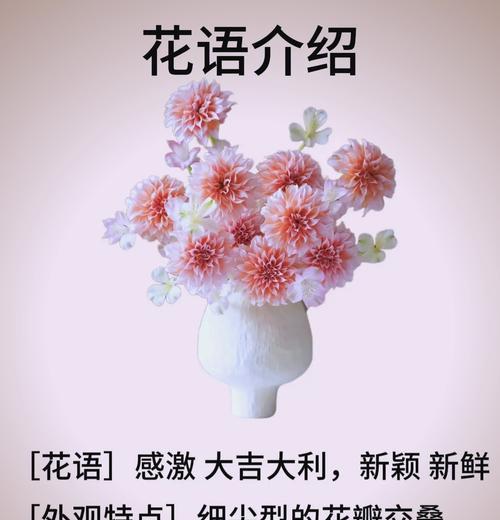 桃子的花语是什么意思？桃子的花语有何含义？