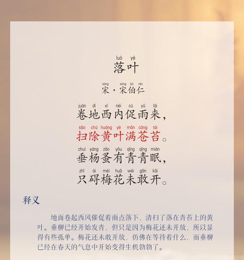落叶的花语代表什么？落叶的花语有何含义？