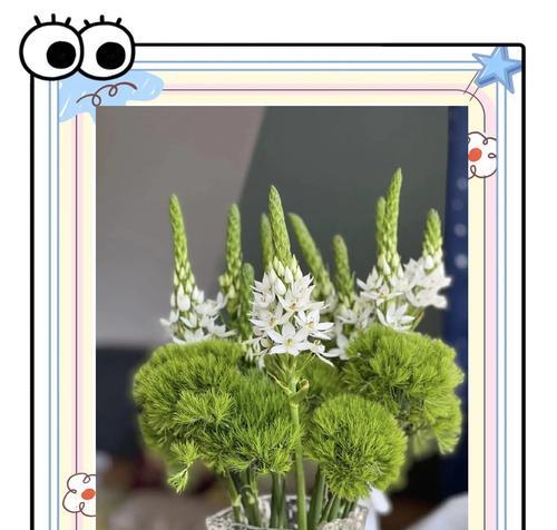 雀梅的花语是什么意思？雀梅的花语有何特点？