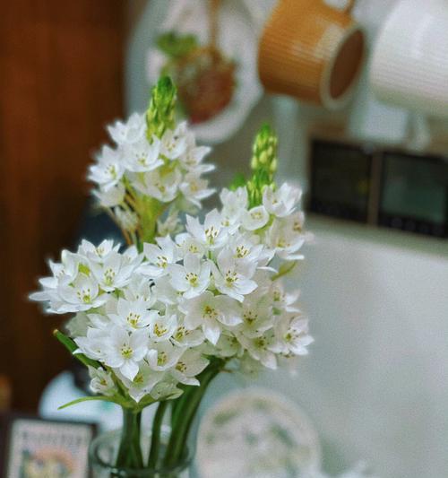 雀梅的花语是什么意思？雀梅的花语有何特点？