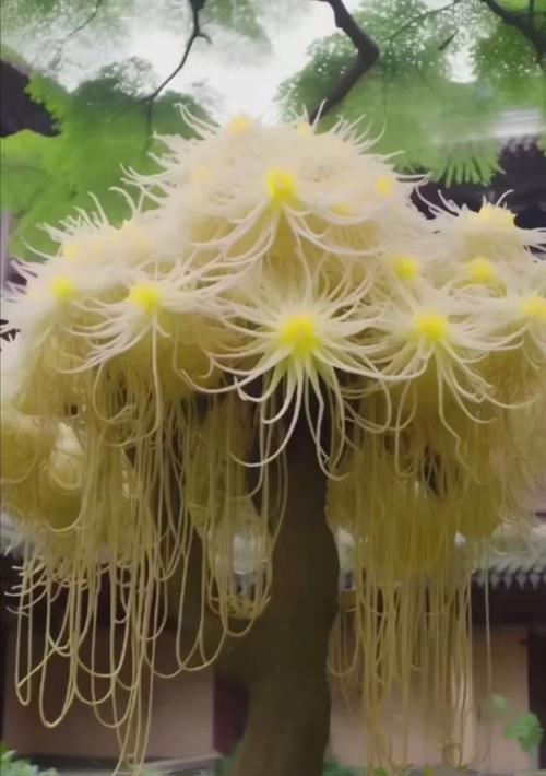大树的花语是什么？大树的花语有何深意？