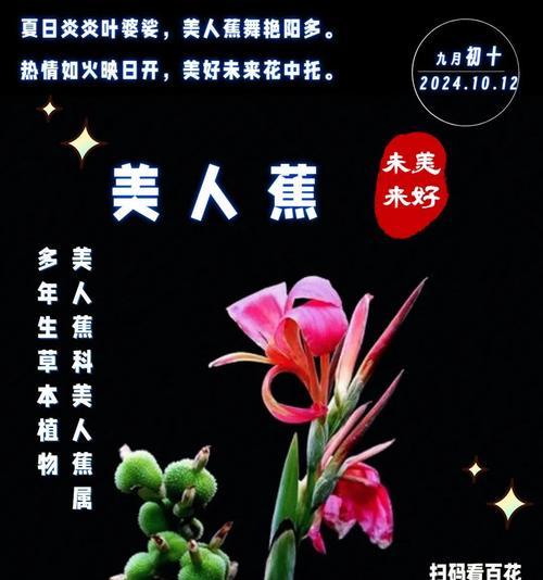 青美人花语是什么？青美人的花语有何寓意？