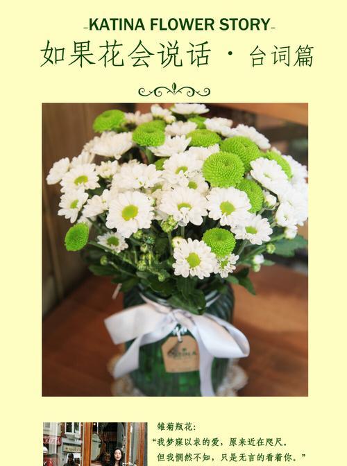 雏菊的花语有哪些？如何用雏菊表达情感？