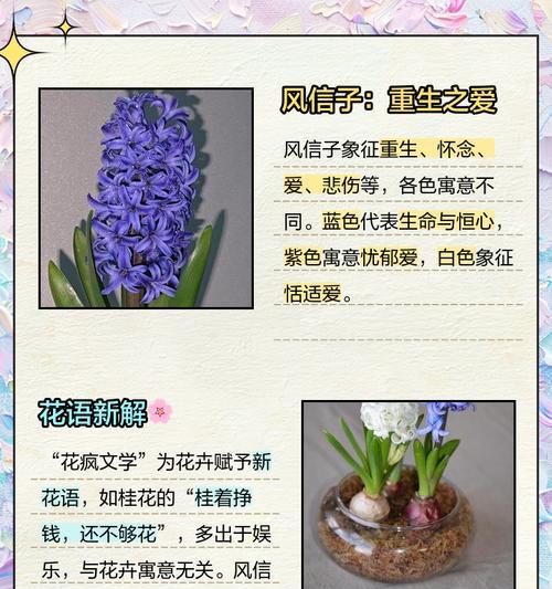 每种花的花语都有什么？如何了解不同花卉的花语？