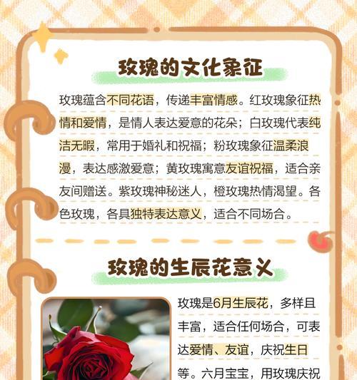 云花语花卉有何特别之处？如何利用云花语花卉传递情感？