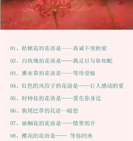 爱我的花语有哪些？如何用花语表达爱意？