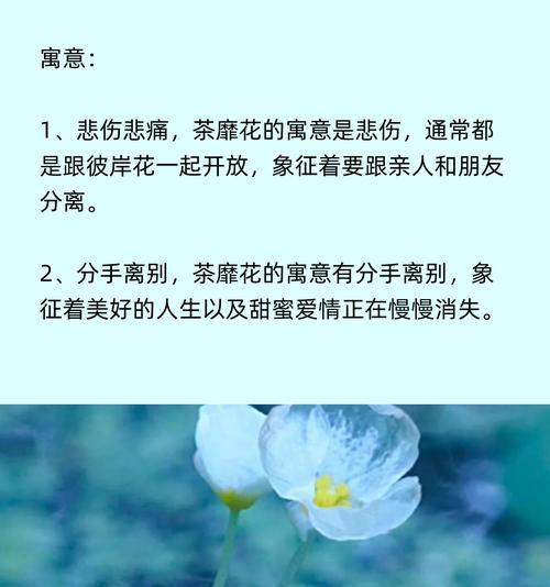 花语美的花有哪些？它们各自代表什么意义？