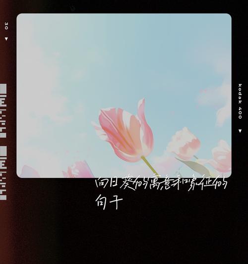 寓意和花语有什么联系？如何理解花语的寓意？