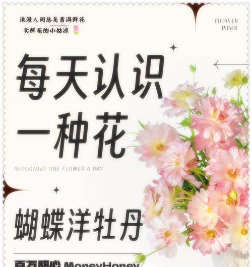 蝴蝶楹花语有哪些含义？蝴蝶楹代表了什么？