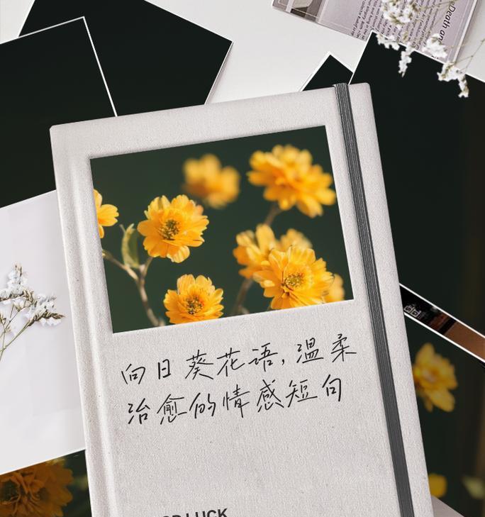 花语与情感有何联系？如何通过花语表达情感？