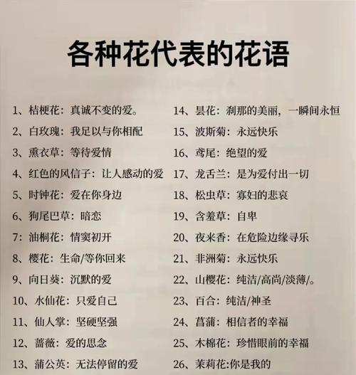 花语与情感有何联系？如何通过花语表达情感？