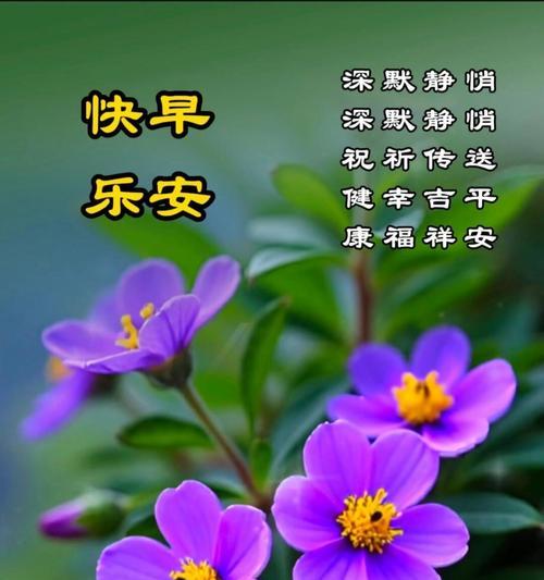 花语送平安有哪些？如何用花语传递平安祝福？