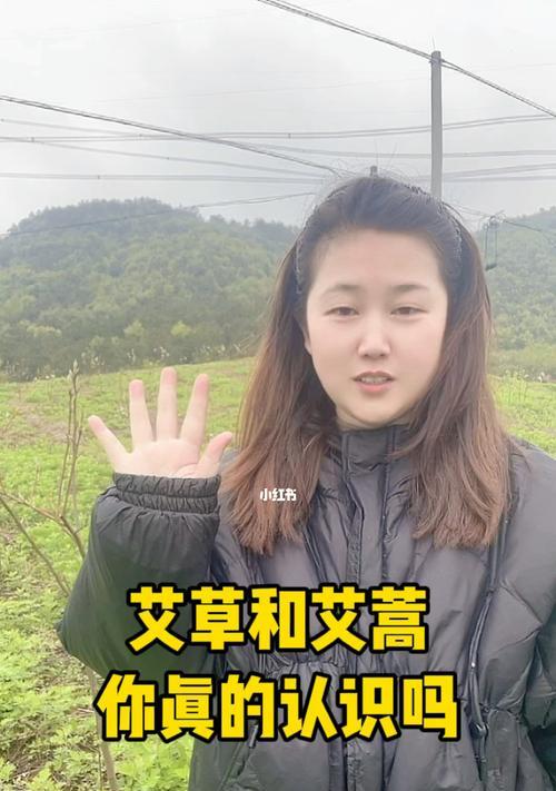 艾蒿束花语代表什么？如何用艾蒿束表达情感？