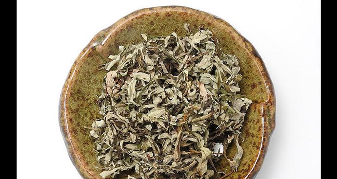 艾蒿束花语代表什么？如何用艾蒿束表达情感？