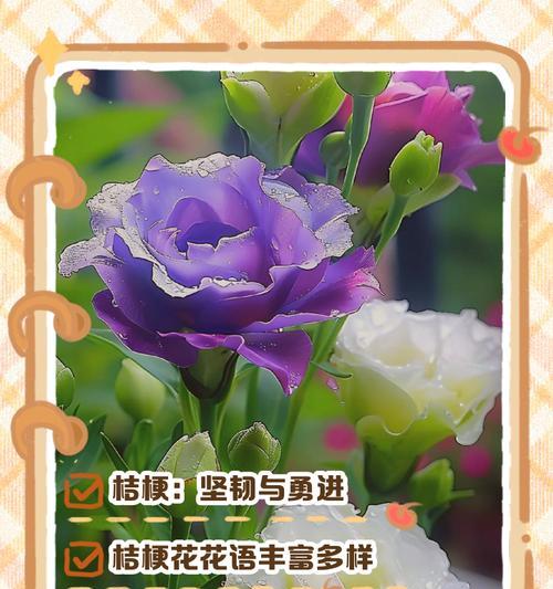 养植物的花语是什么？如何用养植物表达情感？
