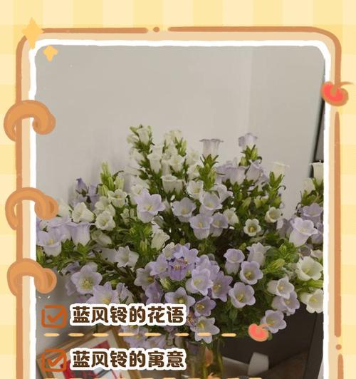 花语是美貌是什么意思？如何用花语表达美貌？