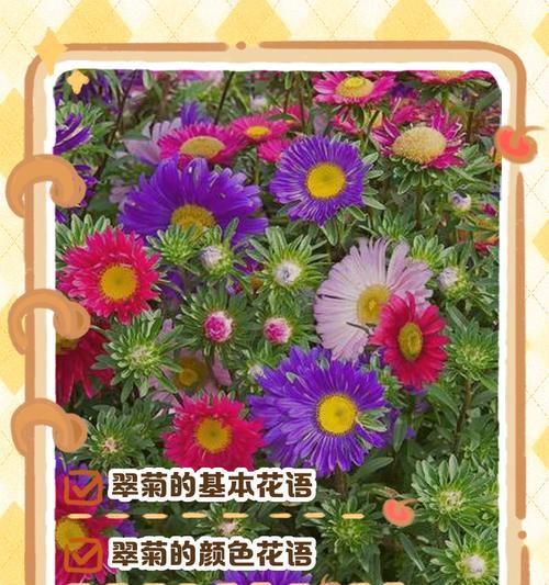关于花的花语有哪些？如何用花语表达情感？