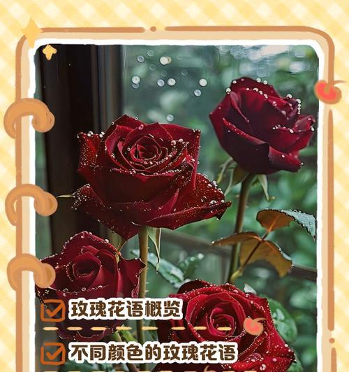 关于花的花语有哪些？如何用花语表达情感？