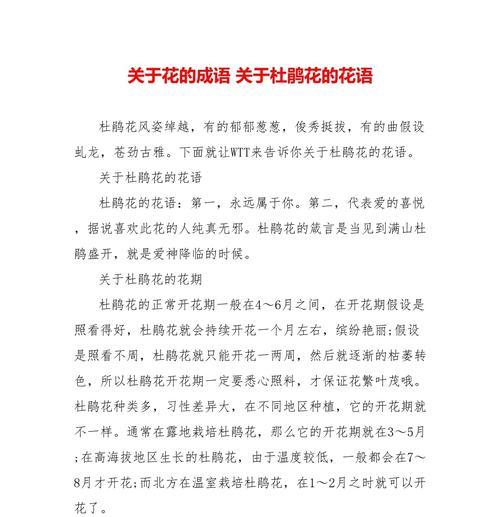 关于花的花语有哪些？如何用花语表达情感？