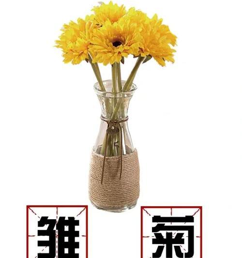 黄叶草的花语是什么？黄叶草花语有何特别之处？