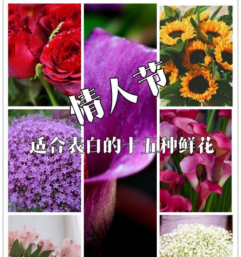 那里花花语有何含义？如何用那里花花语表达爱意？