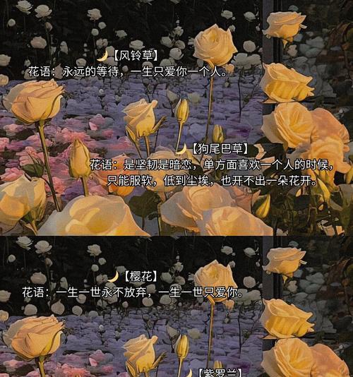 那里花花语有何含义？如何用那里花花语表达爱意？