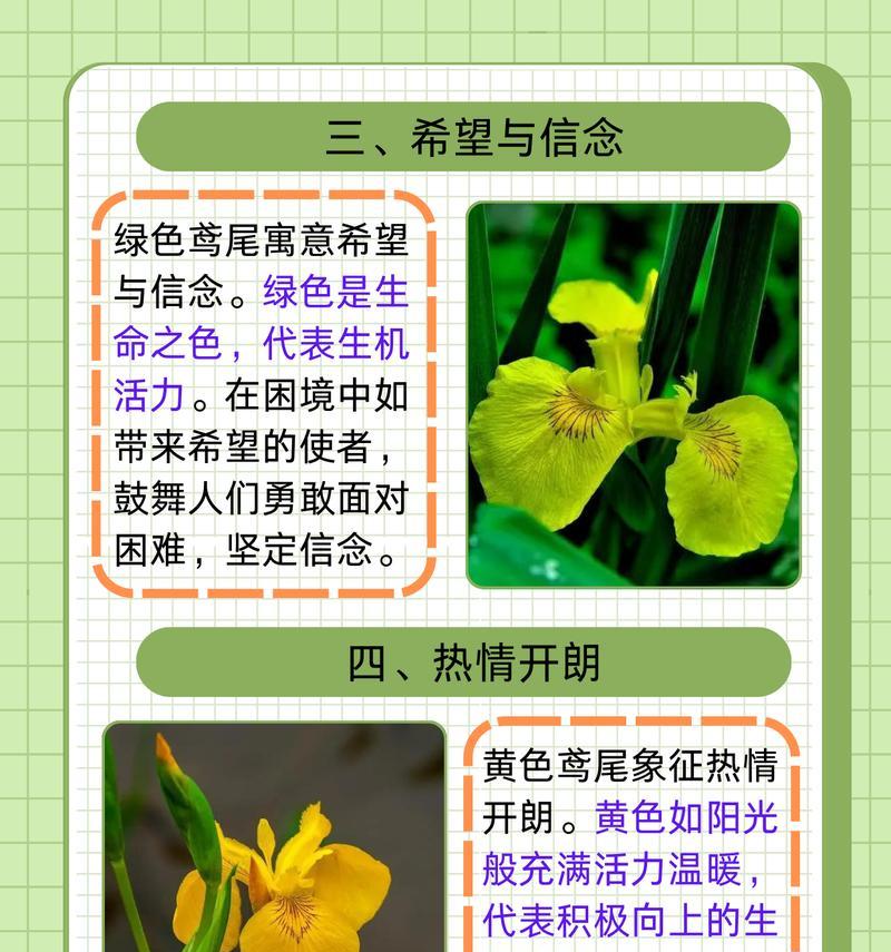 鸢尾果花语代表什么？如何用鸢尾果花语表达情感？