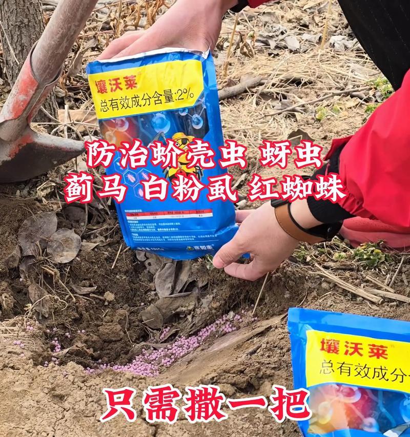介壳虫花语有何寓意？如何用介壳虫花语表达情感？