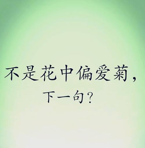 为菊的花语是什么？为菊花语背后的故事是什么？