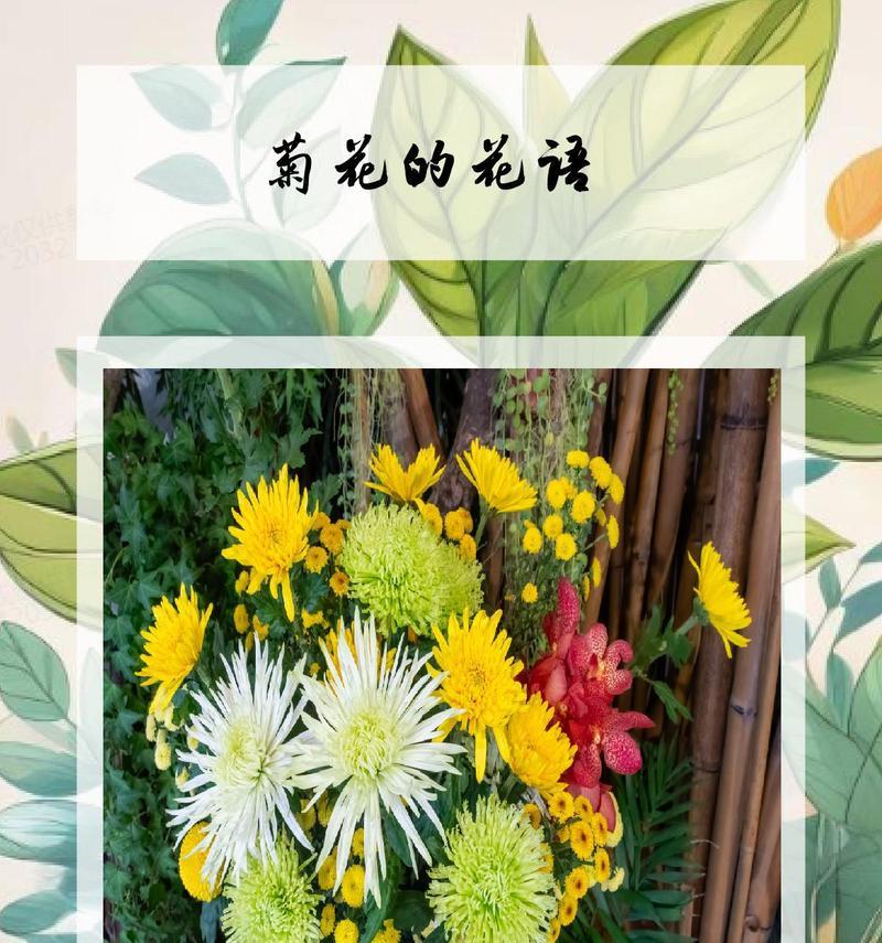花语花草铺提供哪些服务？如何选择合适的花语植物？