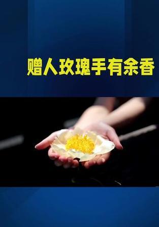 手指尖花语代表什么？手指尖上的花语有何深意？
