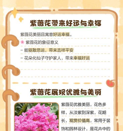 花语一百种有哪些？如何挑选代表不同情感的花语？