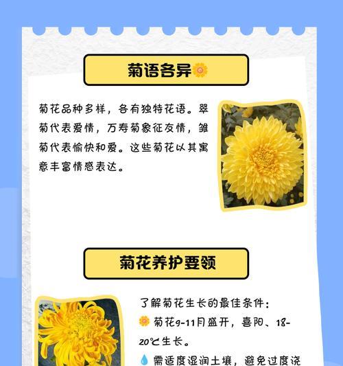 花语一百种有哪些？如何挑选代表不同情感的花语？