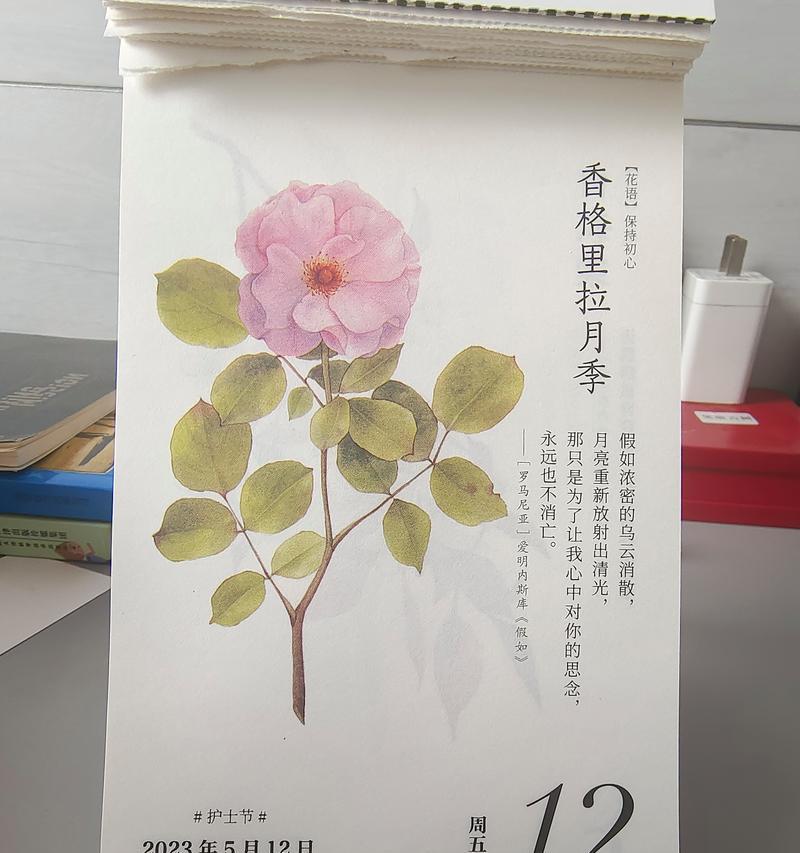 花月亮花语是什么意思？花月亮代表的象征意义有哪些？