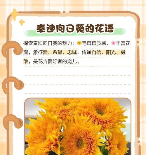 花语是空气代表什么？空气与花语有何关联？