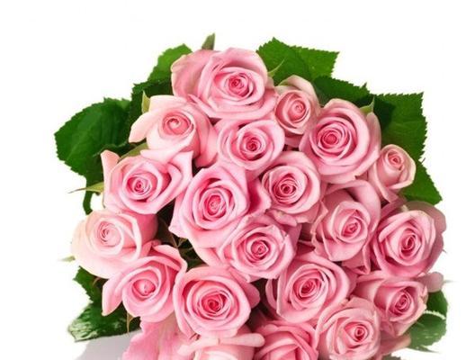 粉满的花语有何含义？粉满的花代表什么？