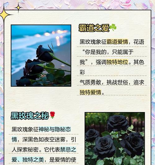 王感觉花语有何特别之处？如何解读王感觉花语？