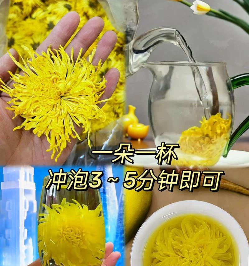 夏日菊花语有何寓意？夏日菊花语在夏季的使用建议？