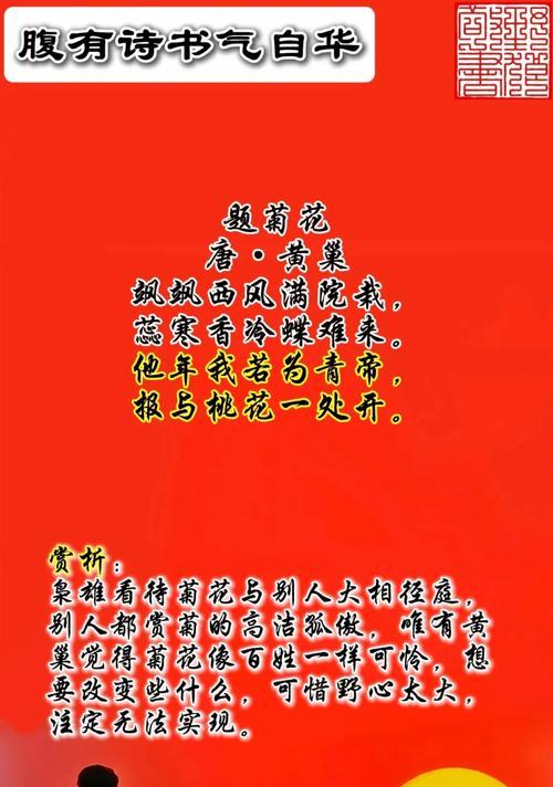 假菊花的花语代表了哪些情感？