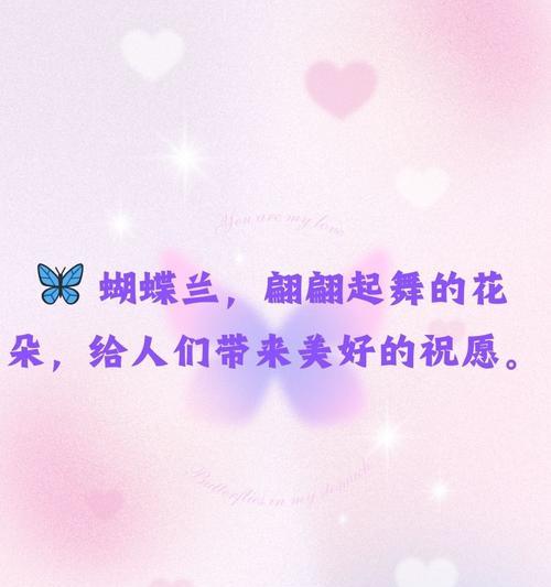 蝶蝶兰花语代表了哪些情感？