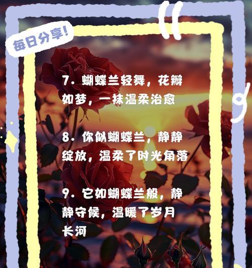 蝶蝶兰花语代表了哪些情感？