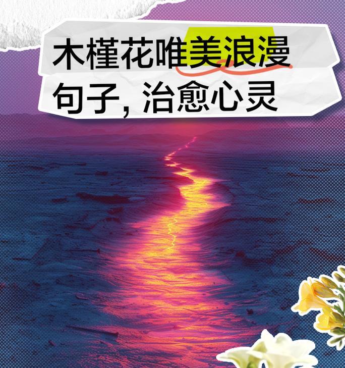 查木槿花的花语代表了哪些情感？