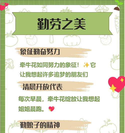 野缕花的花语代表了哪些情感？