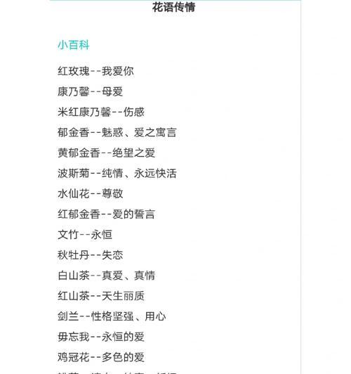 黑花语花传代表了哪些情感？