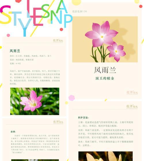 菖蒲棒花语是什么意思？它象征着什么？