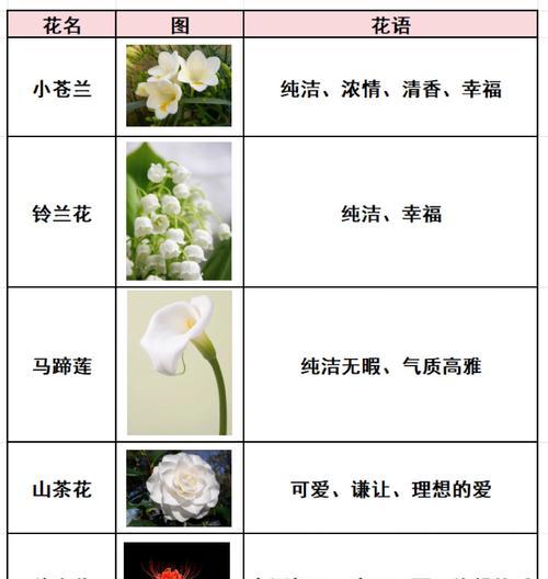 诗中关于花语的描述有哪些？它们表达了什么？