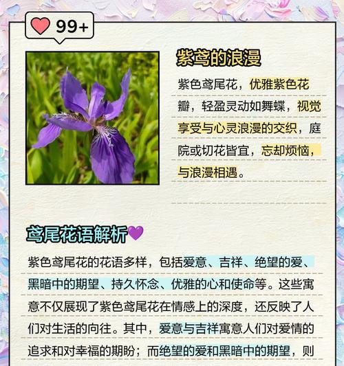 紫蓝色花语代表了什么？它有什么特别之处？