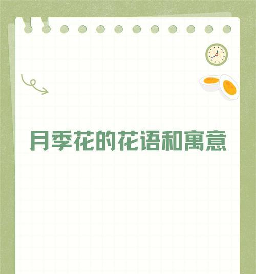 40钟花语是什么？它们各自有什么含义？