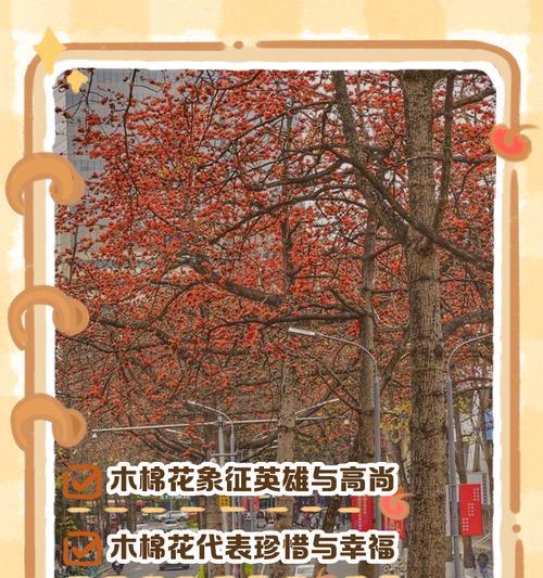 木棉果花语是什么？它传递了哪些信息？