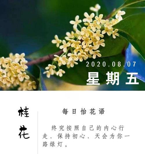 花桂花花语代表了什么？在传统中有什么意义？